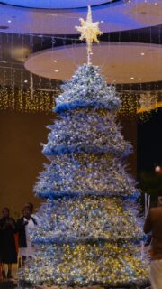 It’s officially the #ChristmasAtEmara season! 🎄 

What a joy the tree-lighting celebration was — and just as our General Manager said, we can’t wait to spread the love with each and every one of you joining us this season.

#EmaraOleSereni #ChristmasAtEmara #BestHotelInNairobi