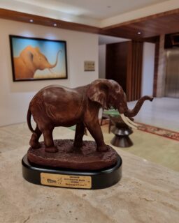 What a moment to celebrate! We’re thrilled to announce that Sky Lounge at Emara Ole-Sereni has been awarded Best Rooftop Bar & Lounge at the Kenya Tourism Awards. 

Ole-Sereni also takes 1st Runner’s Up for Best Airport Hotel at the Kenya Tourism Awards. A heartfelt thank you to our amazing team and our wonderful guests who make this moments possible. Here’s to raising the bar!

#EmaraOleSereni #SkyLounge #OleSereni #BestRooftopBarAndLounge #BestAiportHotel