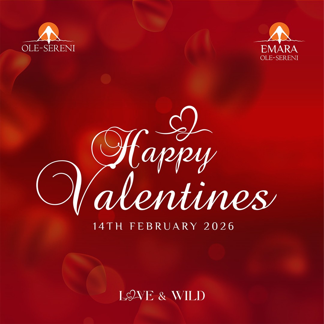 Happy Valentine’s Day from all of us at Emara Ole-Sereni. At Emara, we’re grateful to be part of your special moments, today and always. Wishing you a day filled with tenderness, intention, and experiences that stay with you long after today.

#EmaraOleSereni #HappyValentinesDay #LoveAndWild