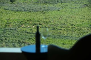 Stay in our Deluxe Rooms and wake up to uninterrupted park views, and let the stillness of nature redefine what a staycation should feel like.

To book a stay, call +254 732 191000.

#EmaraOleSereni #DeluxeRooms #Staycation