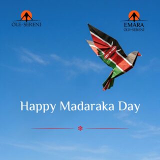 Happy Madaraka Day! From all of us at Ole-Sereni Hotels, we wish you a joyful and memorable Madaraka Day as we honor Kenya's rich heritage and the unity that defines our nation. 

#OleSereni #EmaraOleSereni #MadarakaDay