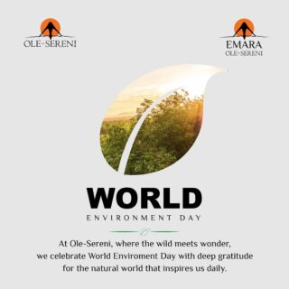 Happy World Environment Day! Today, we celebrate the beauty, resilience, and importance of the natural world that surrounds us.

At Ole-Sereni Hotels, we are privileged to share a unique connection with Nairobi National Park, and we are reminded every day of our responsibility to protect and preserve the environment for future generations. Because every small action contributes to a healthier planet.

#EmaraOleSereni #OleSereni #WorldEnvironmentDay