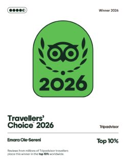 We're thrilled to be recognized in the Travellers' Choice Award 2026 by Trip Advisor, placing Emara Ole-Sereni among the top 10% of hotels worldwide. This achievement is a reflection of the incredible experiences shared by our guests and the dedication of our team, who go above and beyond every day to create memorable stays.

Thank you for choosing us, recommending us, and being part of our journey.

#EmaraOleSereni #TravellersChoice2026 #BestHotelInNairobi