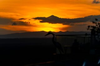 Experience the best sunset views in the city from Sky Lounge and explore our signature cocktails and house specials.

To reserve a table, call +254 731 564578.

#EmaraOleSereni #SkyLounge #BestHotelInNairobi