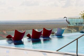 Friday looks better with a view! Join us this evening and all through the weekend at Sky Lounge and enjoy world class hospitality, breathtaking park and city views, signature specials and electric entertainment.

To reserve a table, call +254 731 564578.

#EmaraOleSereni #SkyLounge #BestHotelInNairobi