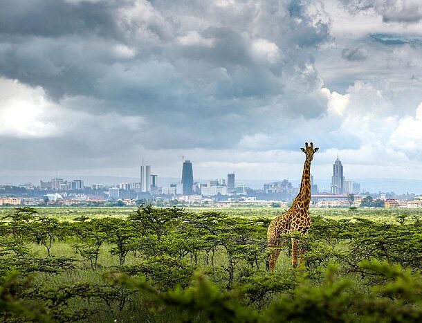 facts about Nairobi