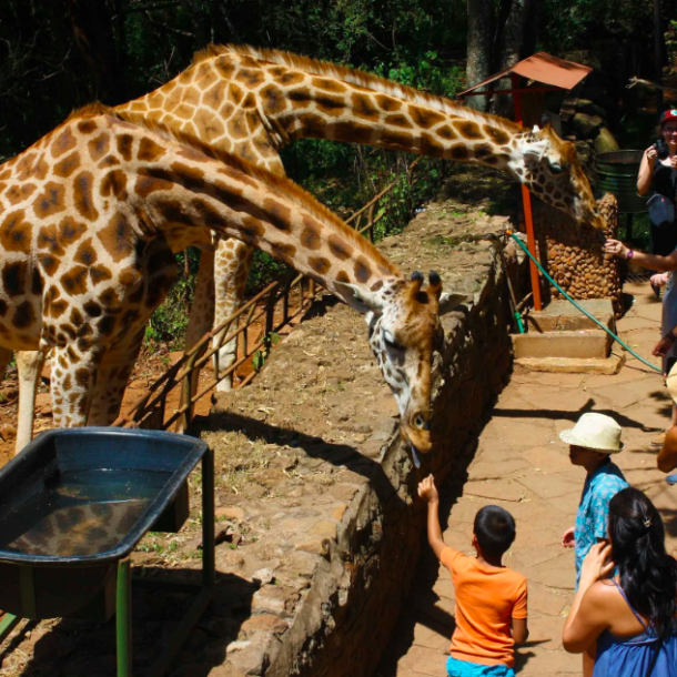 Nairobi's Thriving Tourism