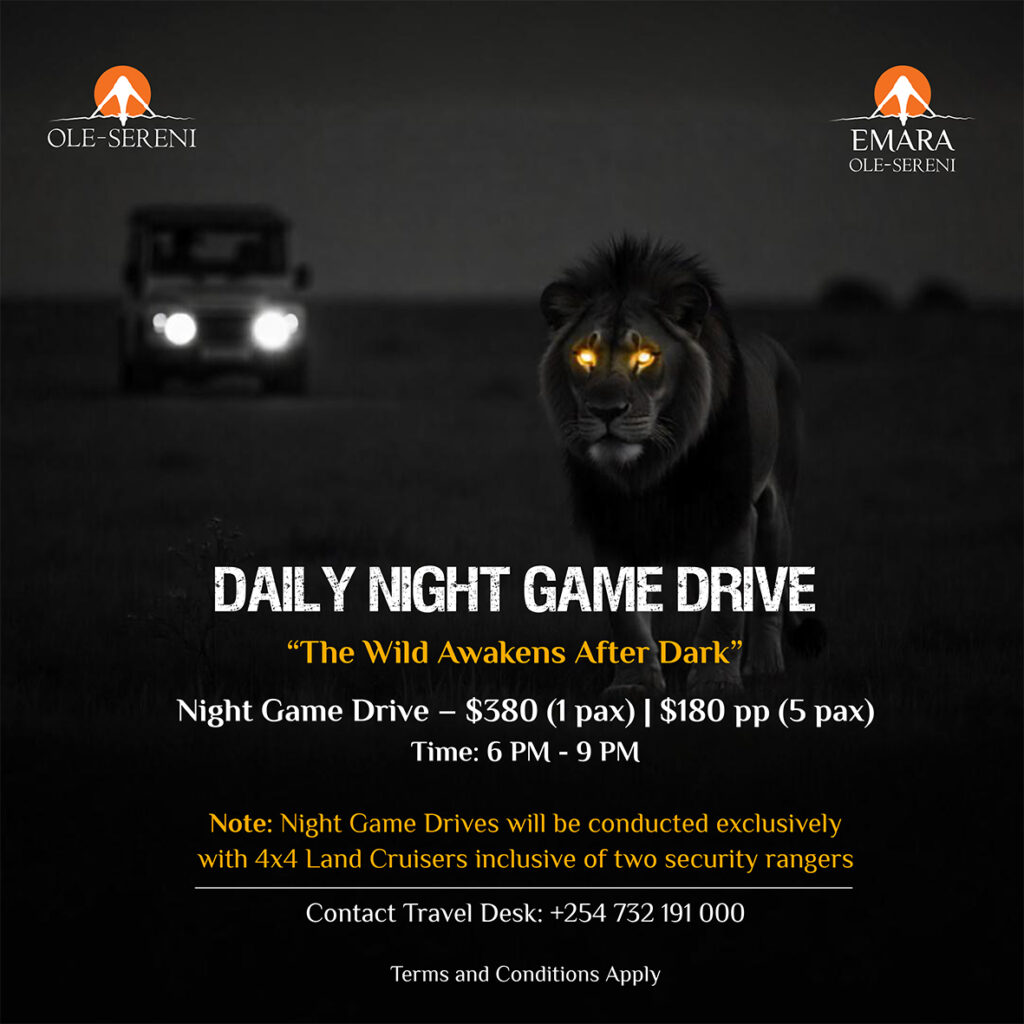 Daily Night Game Drive Aug25Fvs