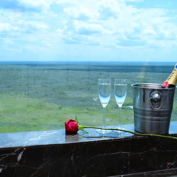 Dining with a View in Nairobi
